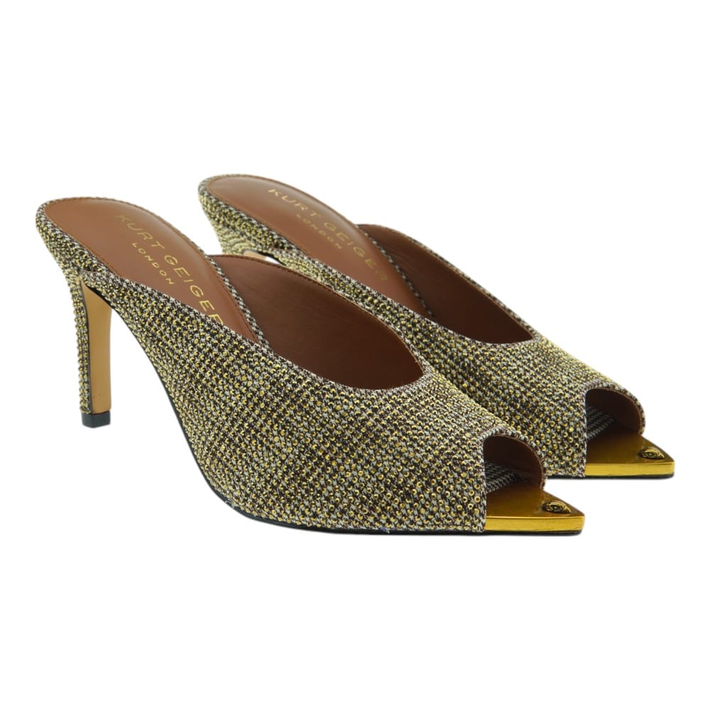 Zuecos Mujer Vestir Tacón Kurt Geiger Regent Pint Mule